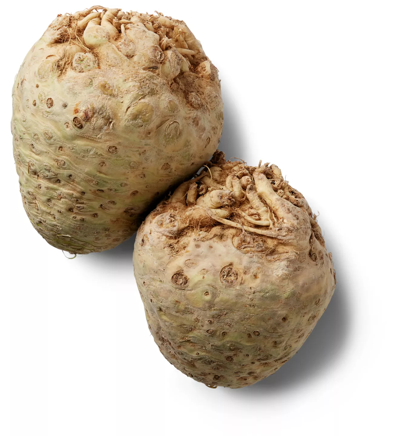 Ţelină rădăcină calitatea I kg