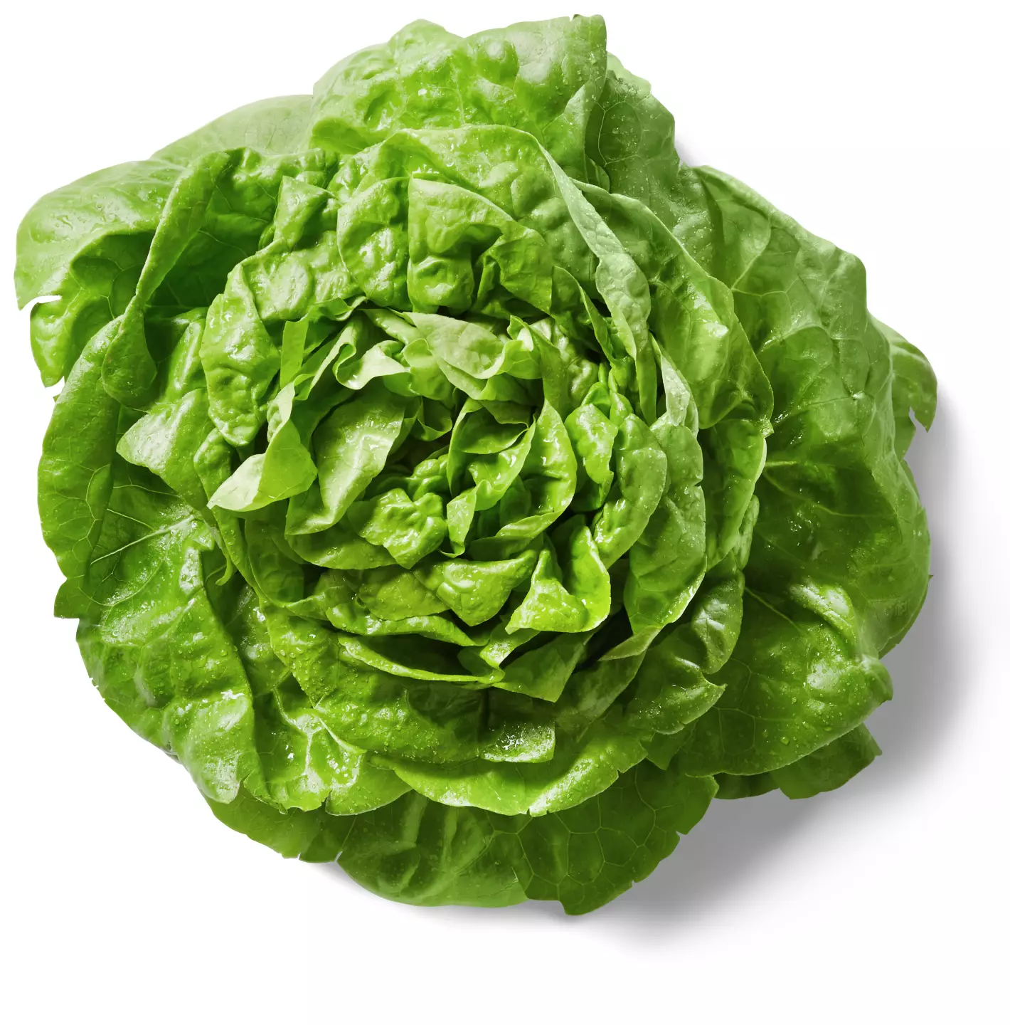 Salată verde Salată verde