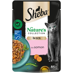 Hrana umeda pentru pisici adulte, cu somon in sos 85g