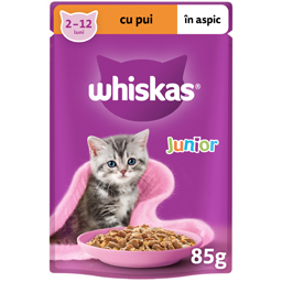 Hrana umeda pentru pui de pisica, cu pui in aspic 85g