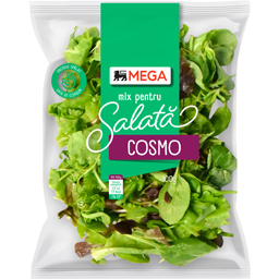 Mix pentru salata Cosmo 100g